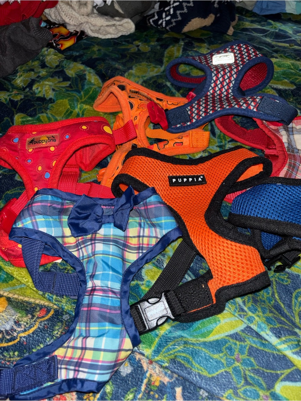 DOGGIE HARNESS BUNDLE.  GREAT PRICE!!